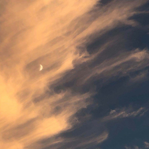 国产经典一级农村野外
